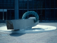 和泉のコスモス